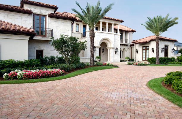 Best Driveway Paving Contractor  in Muleshoe, TX
